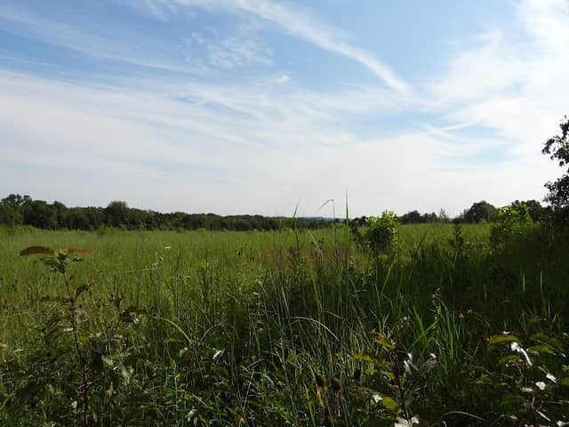 ALLEGHENY MOUND TRAIL - Image 1