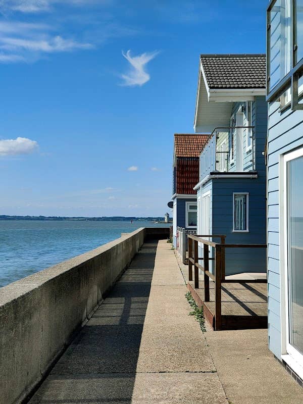 Point Clear Whelk - Image 1