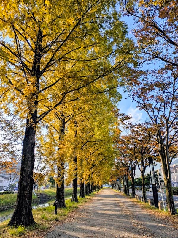 Don-don-don no Mori Park - Image 1