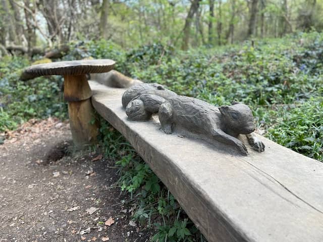 Jill’s Bench - Image 1