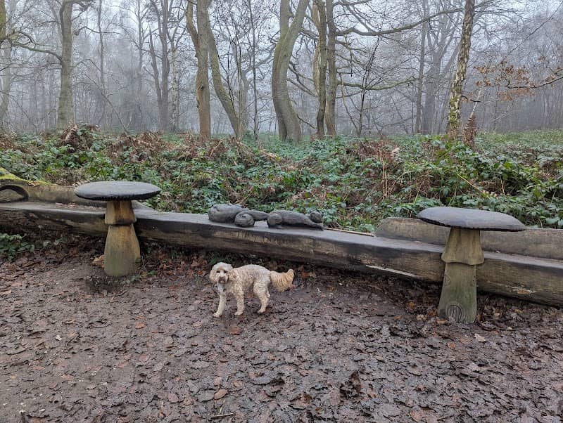 Jill’s Bench - Image 2