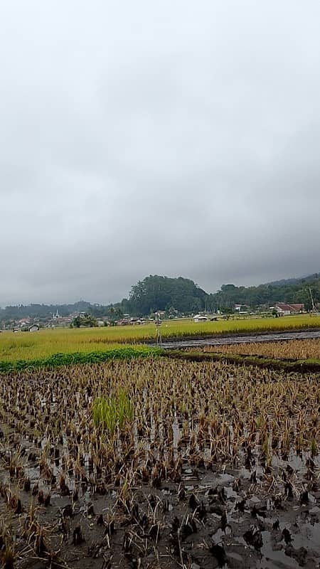 Saung mang emon - Image 2