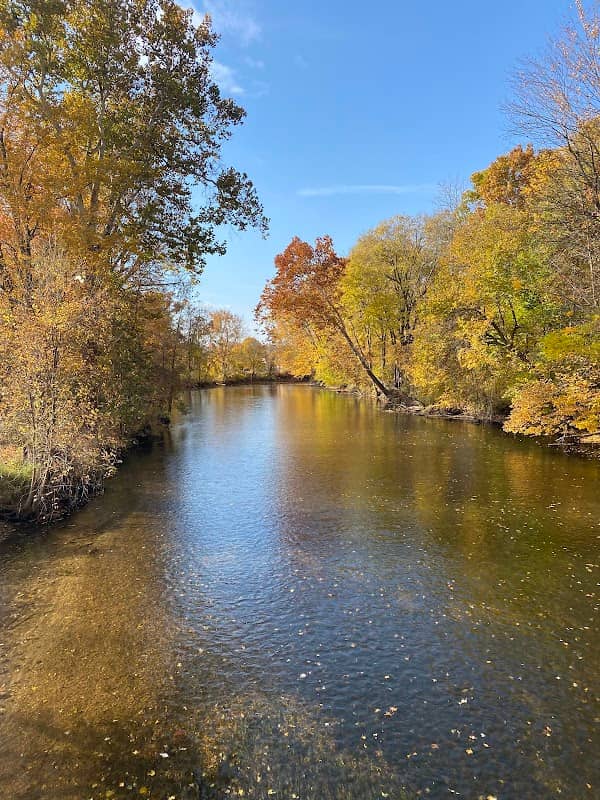 Tyden Park - Image 2