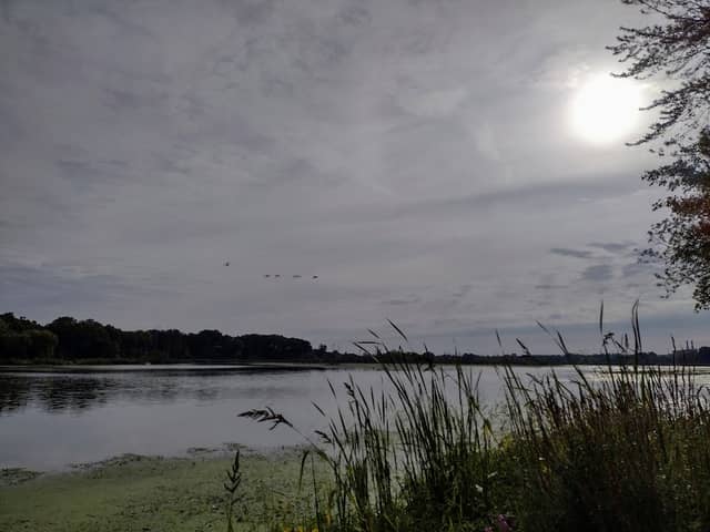 Van Bragt Park - Image 2