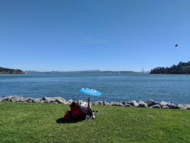 Shoreline Park - Image 1