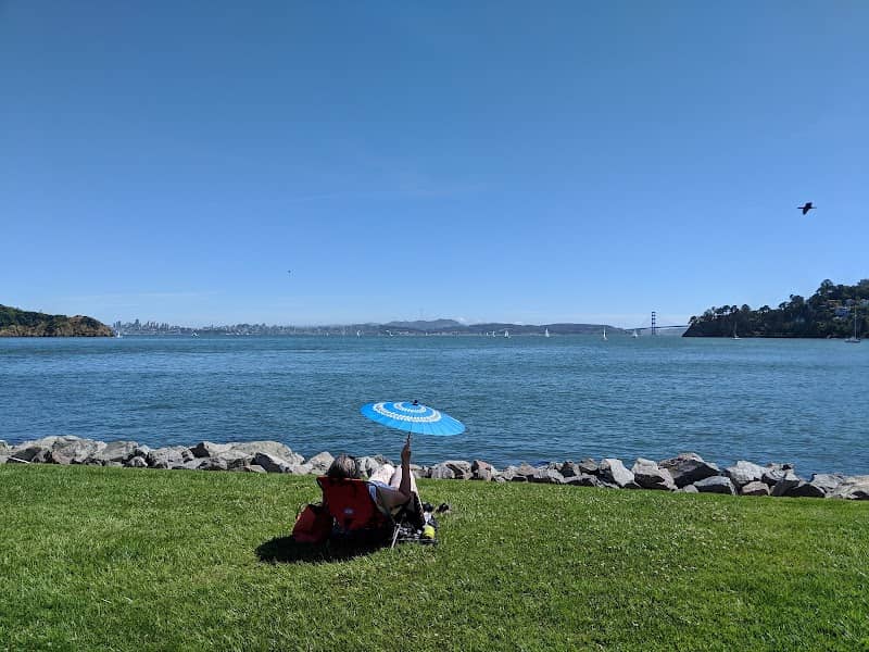 Shoreline Park - Image 1