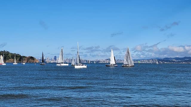 Shoreline Park - Image 2