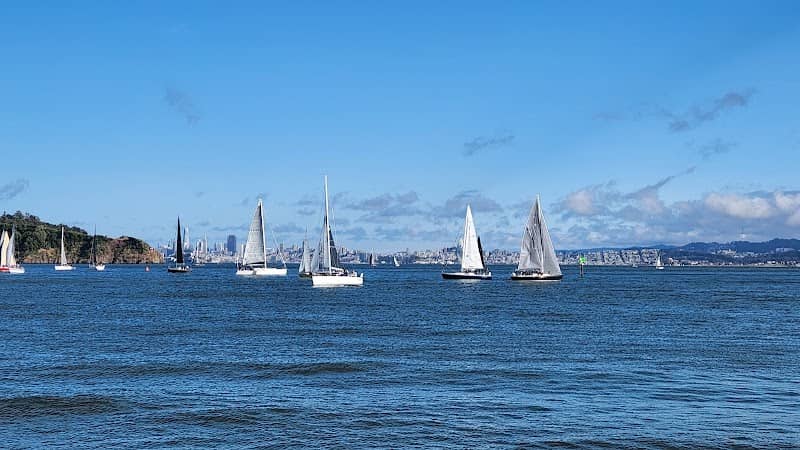 Shoreline Park - Image 2