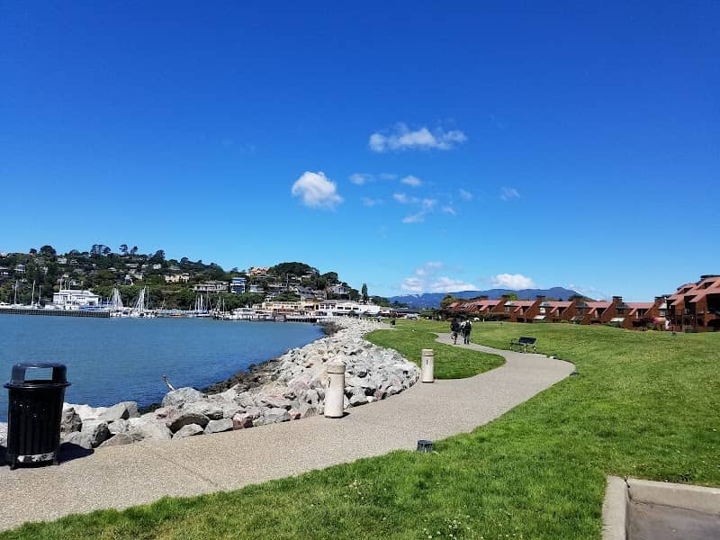 Shoreline Park - Image 3