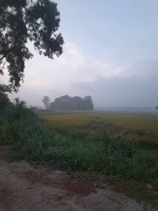 ৭সতীনের ভিটা - Image 1