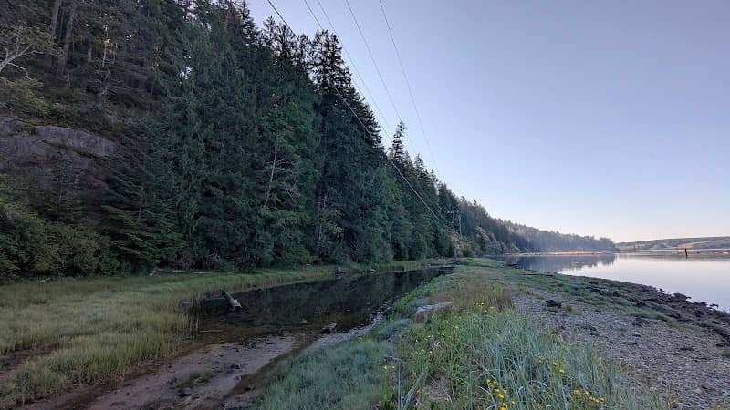 Point view - Image 1