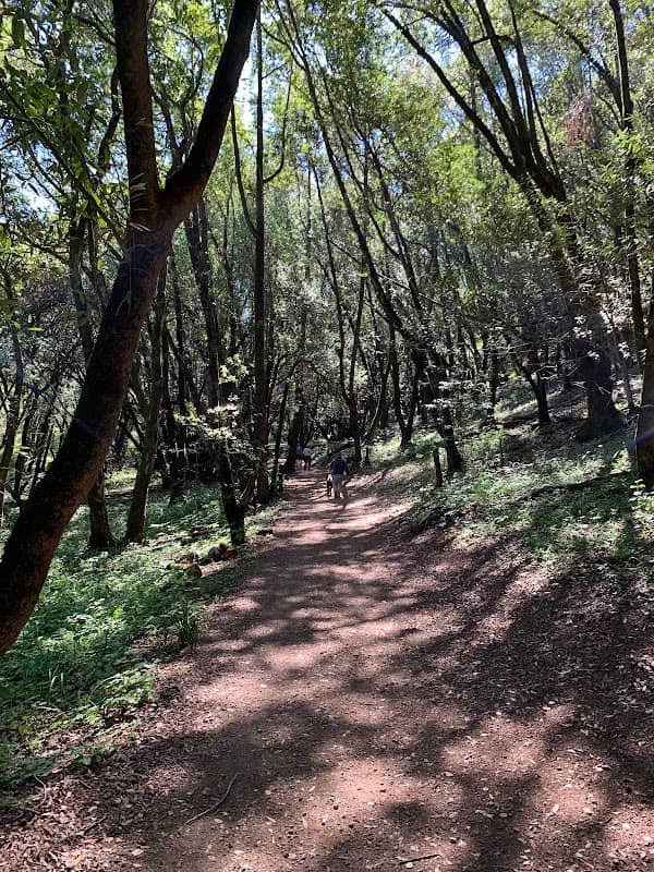 Ohair Park - Image 1