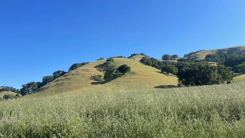 Ohair Park - Image 2