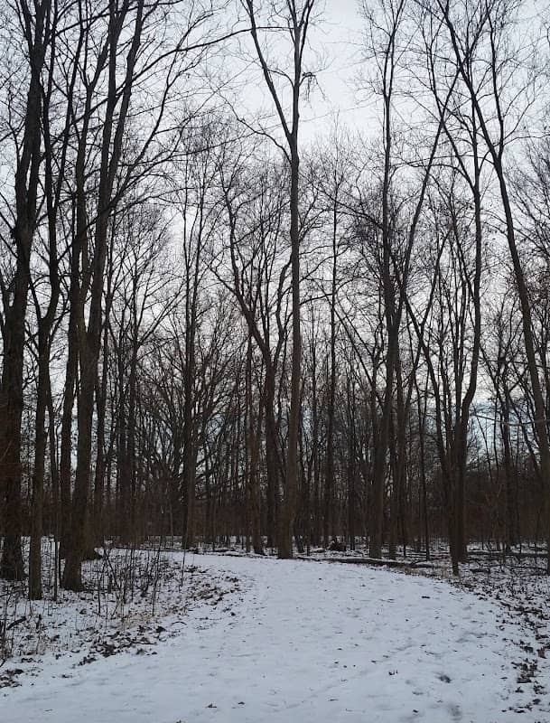 McAuliffe Woods Conservation Area - Image 1