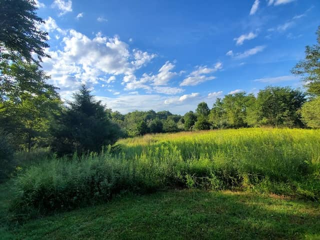 Cool Spring Preserve - Image 1