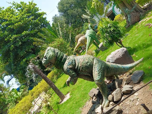 Dinasaur park - Image 2