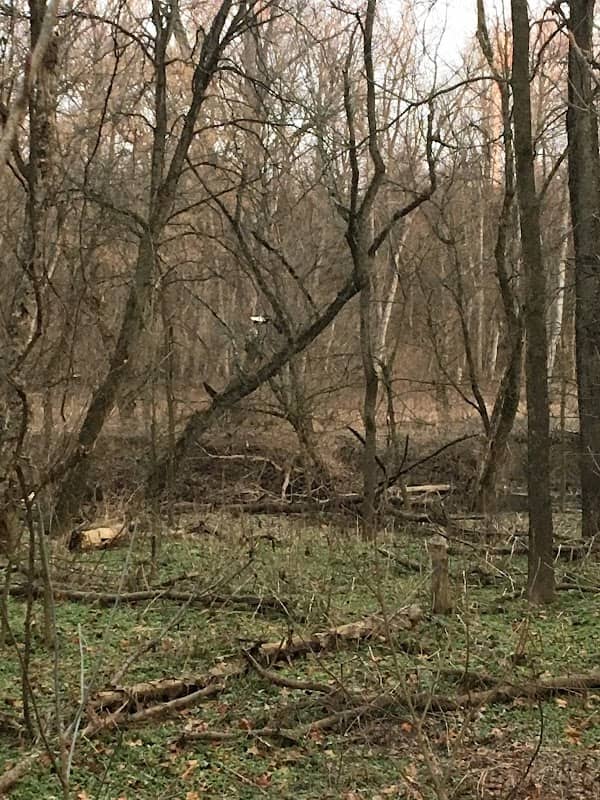 Clark County Park District - Image 3