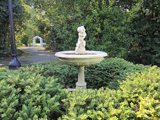 Water bath for birds - Image 1