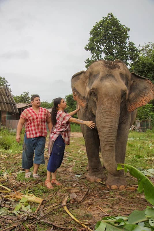 Phukao elephant secret garden - Image 1