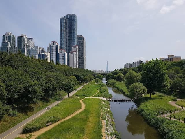 Yangjaecheon Stream - Image 1