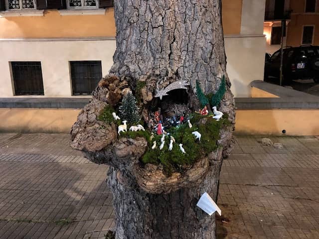 Presepe nell’albero - Image 1