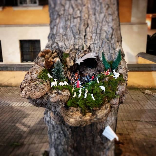 Presepe nell’albero - Image 2