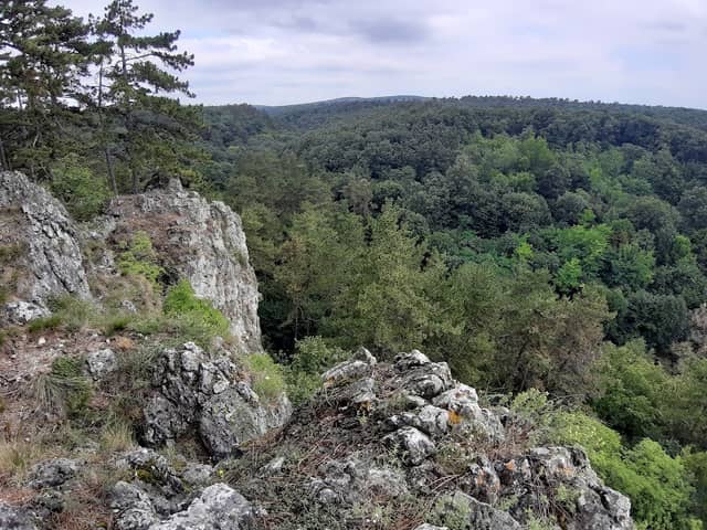 Koloska Valley - Image 1