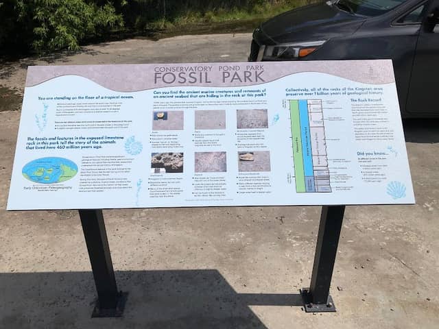 Conservatory Pond Park (Fossil Park) - Image 1