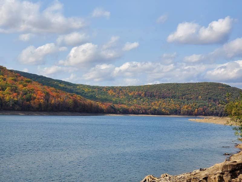 Allegheny National Forest - Image 3