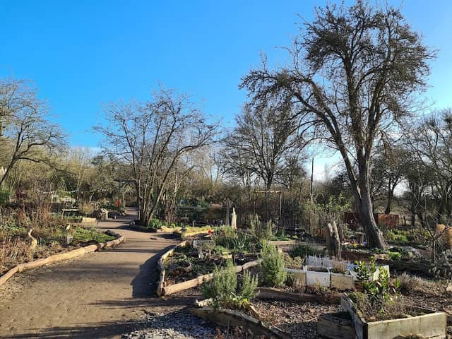 Langdon Nature Reserve Community Garden - Image 2