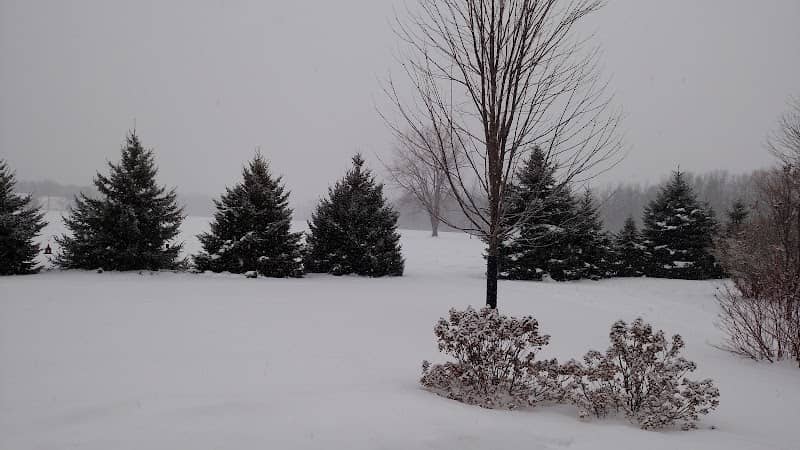 Pendleton Field - Image 1