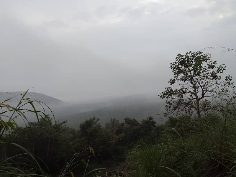 Thuruthamala - Image 1