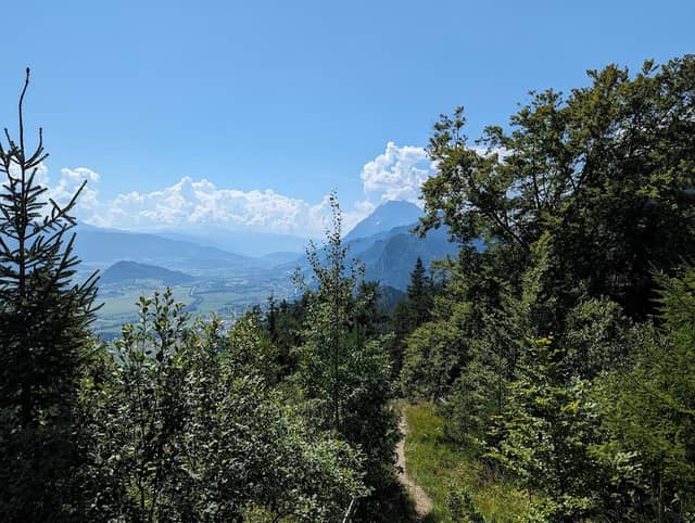 Oberkogler-Alm Aussichtswarte - Image 1