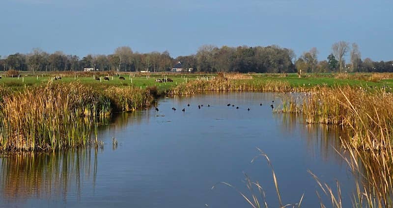 Start Kabouterpad Oldekerk - Image 1
