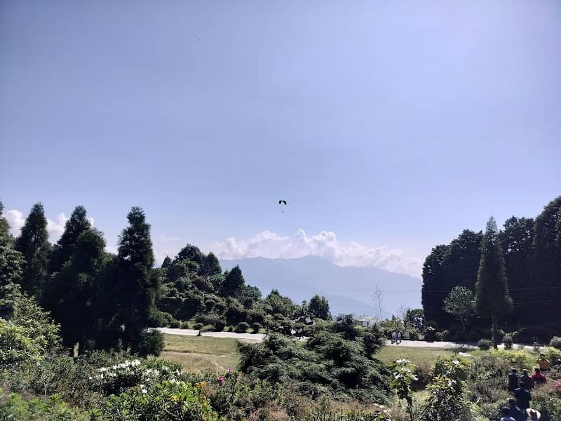 Delo park - Image 2