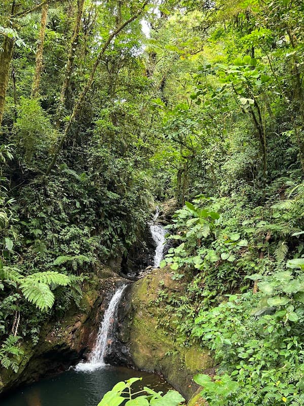 Monteverde Reserve Parking - Image 2