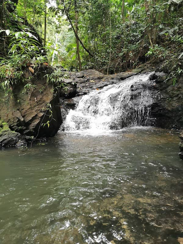Eden Falls - Image 1