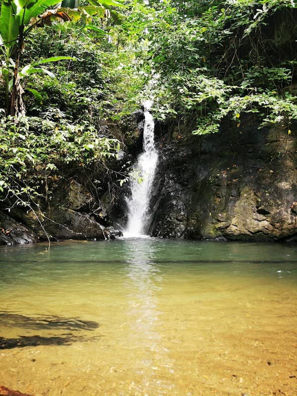 Eden Falls - Image 2
