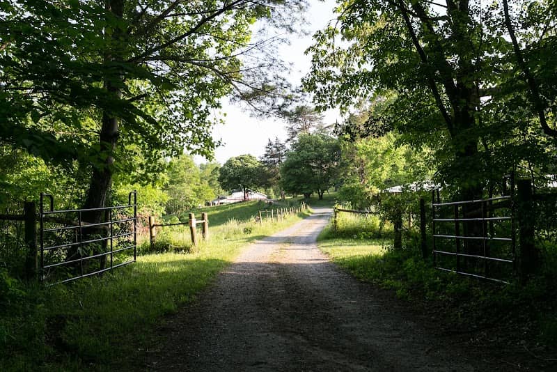 Forest Farms - Image 1
