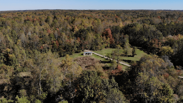 Forest Farms - Image 1