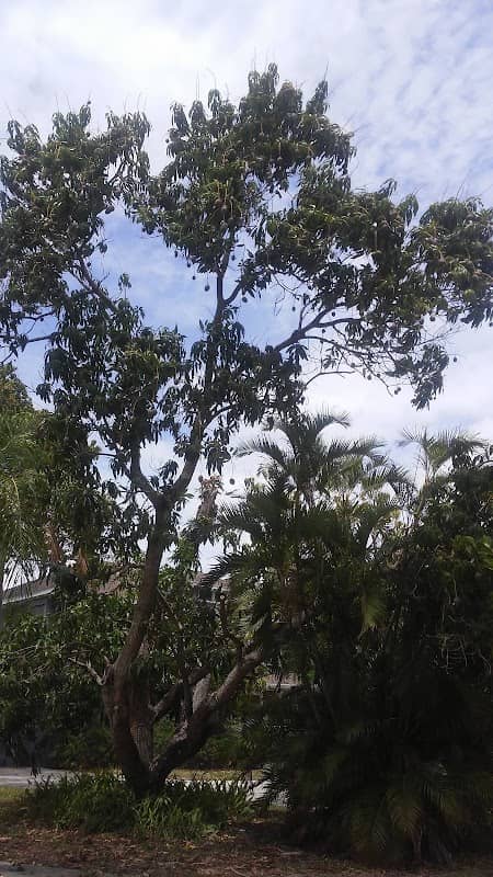 Caloosa Park - Image 2