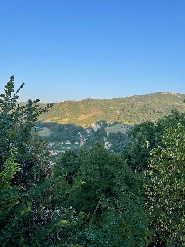 Allocco - Image 1