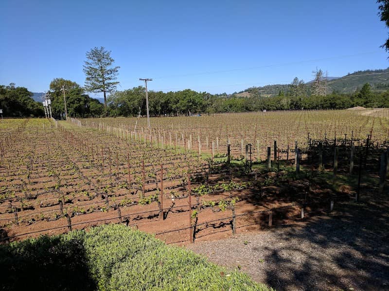 Arkenstone Vineyards - Image 1