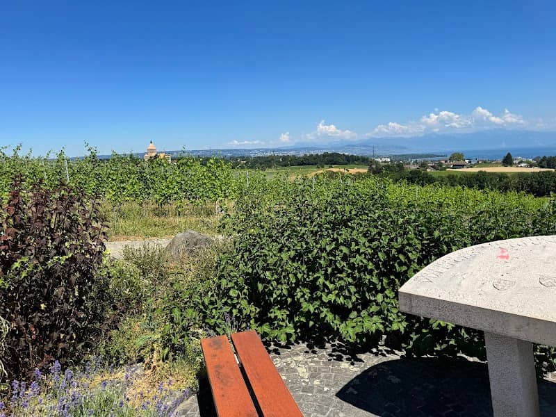 Point de vue - Image 2