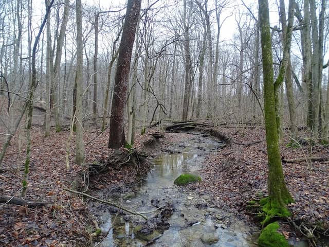 Conrad Trail - Image 1