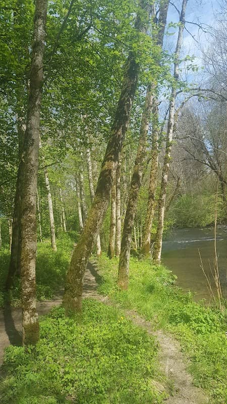 Lieux Picnic au Bord De La GLANE - Image 1