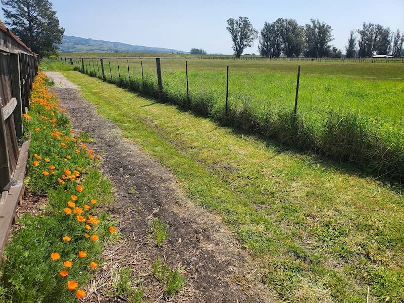 Laguna de Santa Rosa Trail - Trail S - Image 1