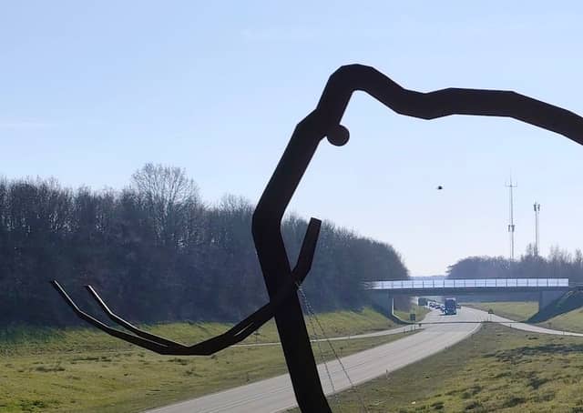 De Mammoet van de N34, Borger - Image 1