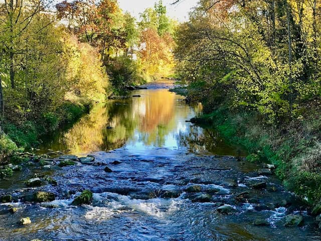 Murg-Auen-Park - Image 1