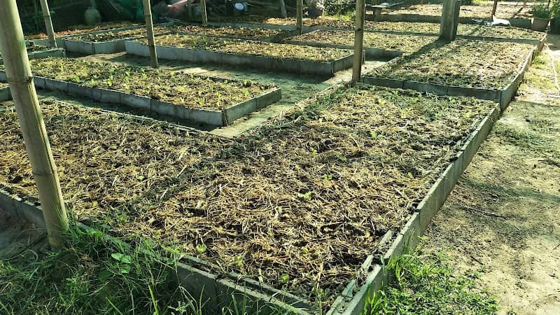 สุขสิริฟาร์ม Suksiri Farm (สวนผักออร์แกนิค) - Image 1
